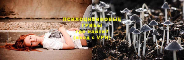 прущие крисы Алексеевка