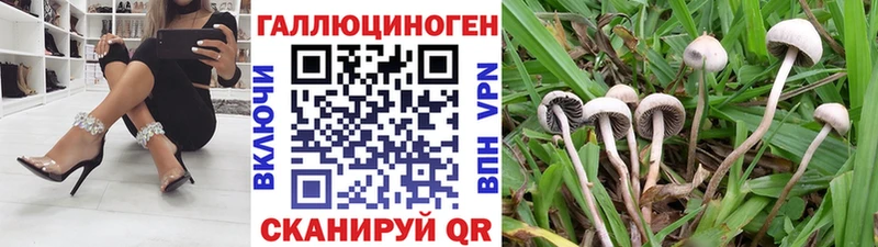 Галлюциногенные грибы Magic Shrooms  MEGA   Каменск-Уральский 